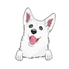 Husky 9