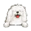 Komondor