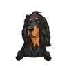Gorden Setter