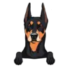 German Pinscher 1