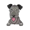 Irish Wolfhound 1