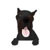 Great Dane 5