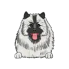 Keeshond 1