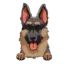 German Shepherd 1
