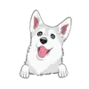 Husky 5