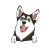 Husky 3