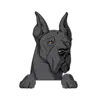 Great Dane 7