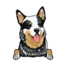 Heeler 1