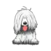 Komondor 1