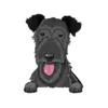 Irish Wolfhound 2