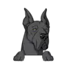 Great Dane 7