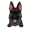 German Shepherd 3