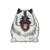 Keeshond 1