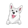 Husky 5