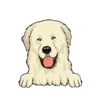 Great Pyrenees 3