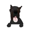 Great Dane 5