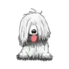 Komondor 1