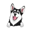 Husky 2