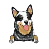Heeler 1