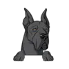 Great Dane 7