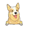 Heeler 3
