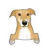 Greyhound 2