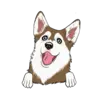 Husky 8
