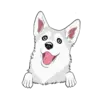 Husky 5