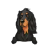 Gorden Setter