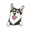 Husky 3