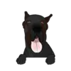 Great Dane 5