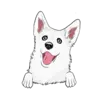 Husky 9