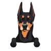 German Pinscher 1