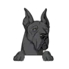 Great Dane 7