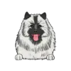 Keeshond 1
