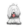 Komondor 1