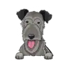 Irish Wolfhound 1