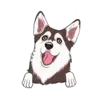 Husky 7