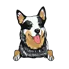 Heeler 1