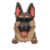 German Shepherd 1