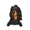 Gorden Setter