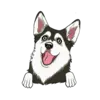 Husky 3