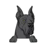 Great Dane 7