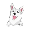 Husky 5