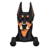 German Pinscher 1