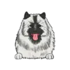 Keeshond 1