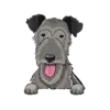 Irish Wolfhound 1
