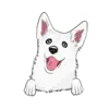 Husky 9