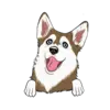 Husky 8