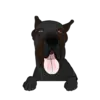 Great Dane 5